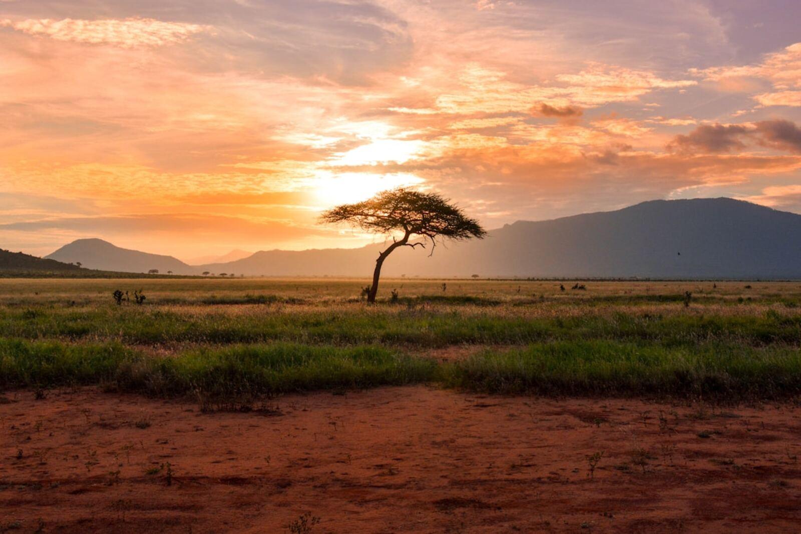 Kenyan landscape at sunset